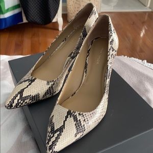 Ann Taylor Snake Kitten Pump